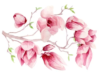 Papier Peint photo Magnolia Illustration à l& 39 aquarelle d& 39 une branche de magnolia en fleurs. Fleurs et bourgeons de magnolia sur fond blanc. Une branche fleurie de fleurs printanières. Carte postale pour la Saint-Valentin, la fête des mères.