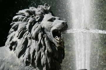 Löwe als Wasserspeier vor Wasserfontäne