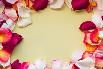 Rose petals of different colors and shades are scattered around the edge of the image. There is a place for text in the center of the photo. Horizontal photo.