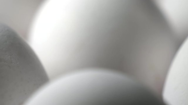 A much closer look of the egg shell on the tray