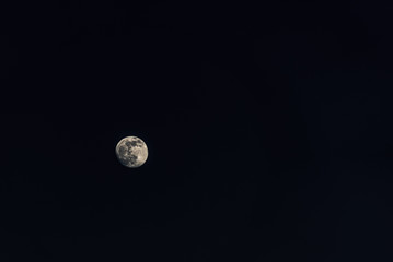 moon in the sky