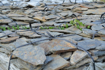 kanienie, łupki elewacyjne naturalne © Ewa