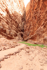 Obraz premium Canyon in Wadi Rum desert, Jordan