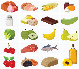 Fruits, vegetables, fats, meat, cereals, dairy products