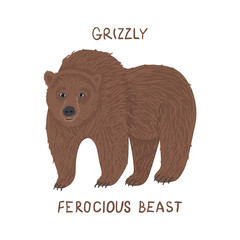 Obraz premium Drawn grizzly bear with text Grizzly ferocious beast. Childish tee shirt print.