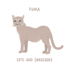 Drawn cougar with text Puma cute and dangerous. Childish tee shirt print.
