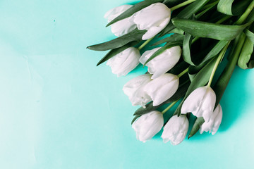 March 8.Bouquet of white tulips on a blue background with space for text.