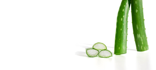 Two sheets of aloe vera and sliced slices on a white background with copy space isolated banner. The concept of cosmetology and alternative medicine, component of drugs and creams, gel