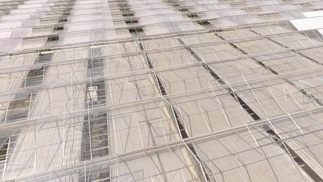 Bright modern glass greenhouse warmhouse hydropinics growing, plantation. Country area, sunny day, aerial footage.