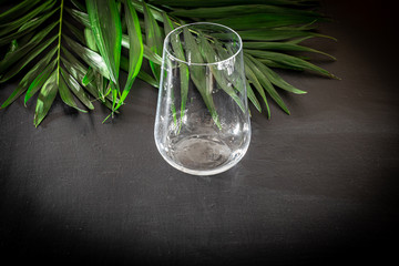 Clear glass for soft drinks. Added palm branches. Black background.