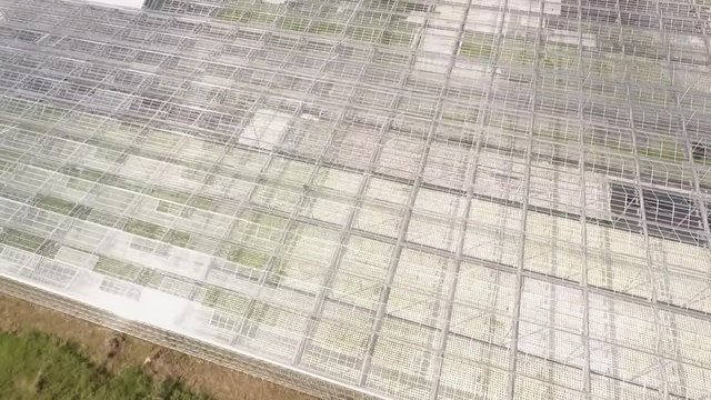 Bright modern glass greenhouse warmhouse for lettuce hydropinics, plantation growing. Country area, sunny day, aerial footage.