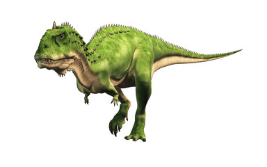 Majungasaurus was a carnivorous theropod dinosaur that lived in Cretaceous era Madagascar. A cousin species to carnotaurus, it had a horn on its head. 3D Rendering 