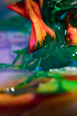 Gemischte Ölfarbe auf der Palette