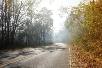 The smoke caused by the burning of roadside forests, resulting in poor driving visibility. Environmental problems that occur during the dry season in Thailand.