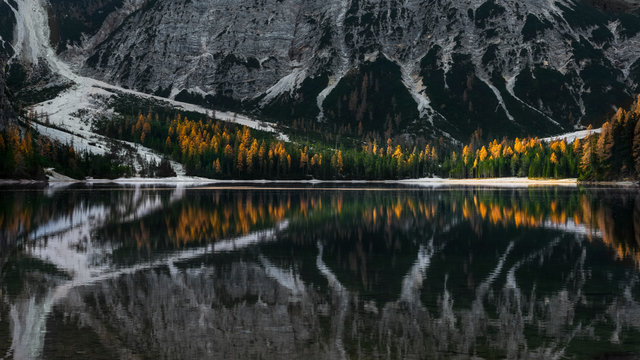 Detail of the Braies lake with a symmetrical composition. the first rays of daylight arrive on the larches in autumnal form, South Tyrol, Italy, Europe