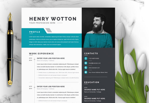 Clean and Professional Resume Layout