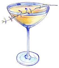 Pencils, markers hand-drawn sketch. American aperitif cocktail glass of Bees Knees. Illustration isolated on white