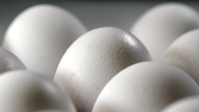 A much closer look of the white egg shells on the tray