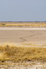 Paysage de Namibie, Afrique