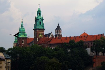 Fototapeta na wymiar Wawel 