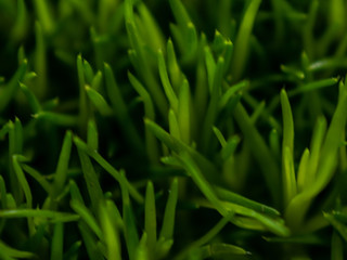 green nature and artificial water cascade