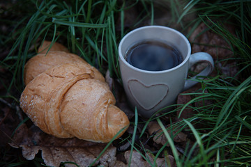 A mug of tea and a croissant on fallen foliage and grass in the forest. Spring breakfast in nature.