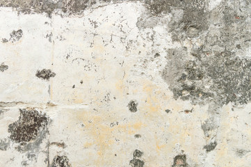 Organic Textures