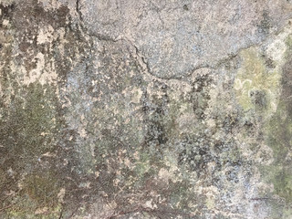 Organic Textures
