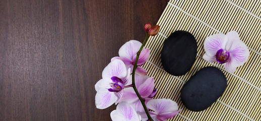 Pink orchid flower with massage stones stock images. Spa and wellness setting stock images. Black stones on a nature background. Spa-concept with zen stones and orchid flower stock images