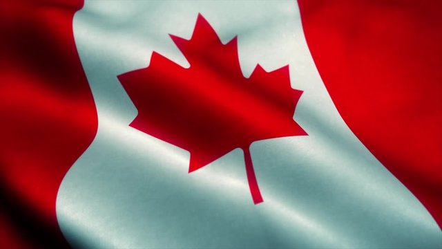 Canadian flag waving in the wind. National flag of Canadian. Sign of Canadian seamless loop animation. 4K