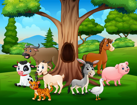 Group of farm animals under the hollow tree landscape