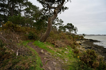 Randonnée en Bretagne sud