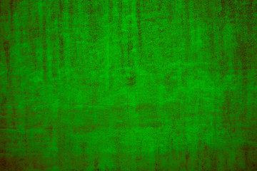Light green background with light dark green vignetting. Green wall background for design