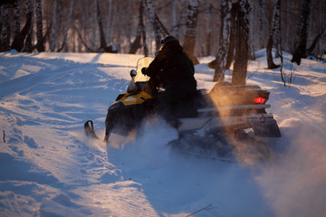 a man on a snowmobile rides through the forest at sunset and snow flies