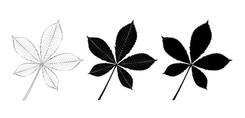 Vector set of chestnut leaves, outline and silhouette. - obrazy, fototapety, plakaty