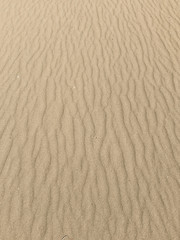 Fototapeta na wymiar Sandy background, windy desert backdrop