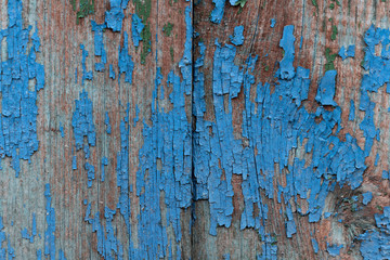 Vintage wood texture background. Natural wood texture. 
