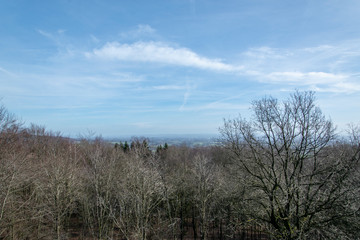 Obraz premium Wanderung im Februar durch das Wiehengebirge bei Rödinghausen. Blick vom Nonnenstein über die Bäume.