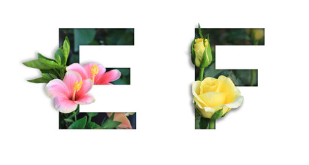 Font with flower E,F made form flower for desing decoration