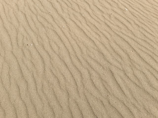 Sandy background, windy desert backdrop