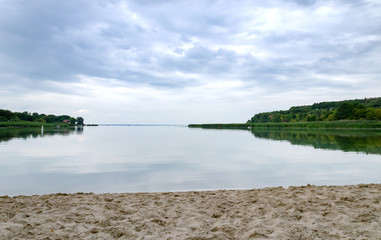 reflection in the water of green trees