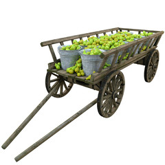 Harvest of green pears collected in iron buckets in a wooden cart outside the city.