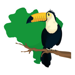 brazil country map with toucan bird