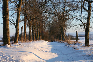 Schöner verscheiter Weg im Winter und Sonnenuntergang
