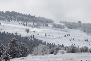 Heavy Snow in the Rockies
