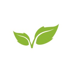 green leaf  vector icon, green leaf ecology nature element vector design on white background