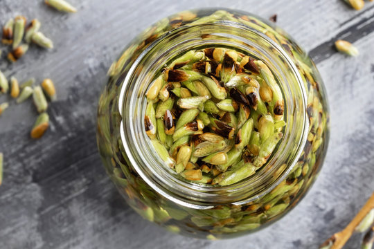 Preparation of a gemmotherapy tincture from white willow buds