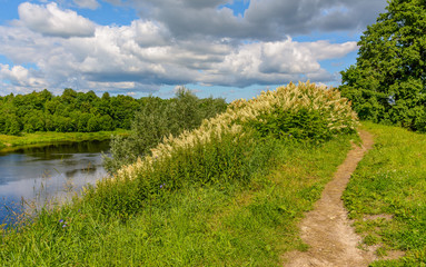 Fototapeta na wymiar A sunny July day in a park on the banks of the Luga River in Kingisepp, Leningrad Region.