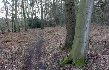 der Weg ist das Ziel