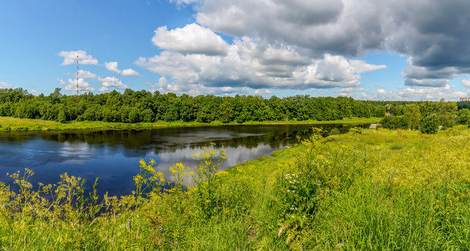 A sunny July day in a park on the banks of the Luga River in Kingisepp, Leningrad Region.